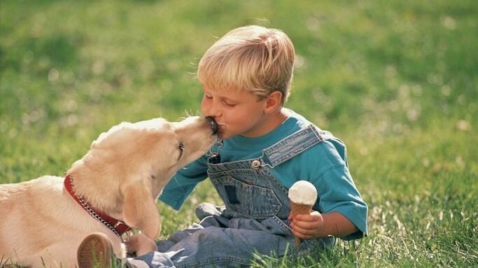 bir çocuk bir köpekten solucan alır