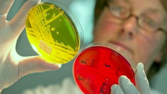 İnsan vücudundaki parazitlerin tespiti için testlerin araştırılması